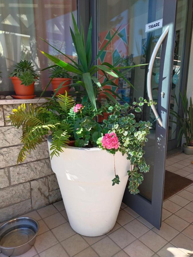 Hotel Goldene Rose Rimini Dış mekan fotoğraf